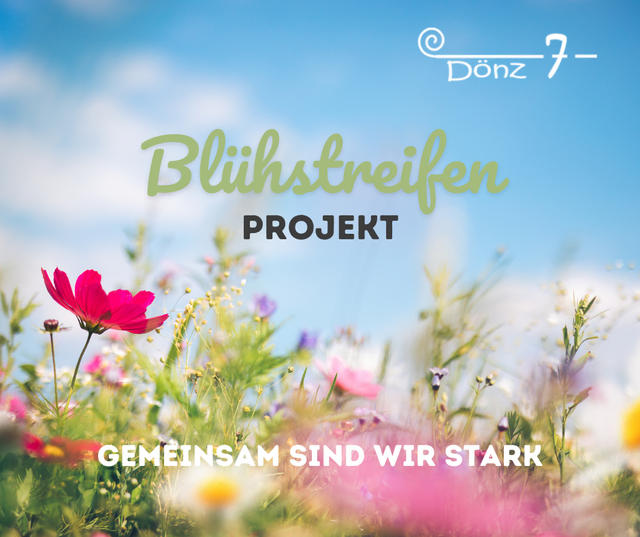 Blühstreifen Projekt 2